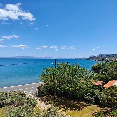 Thanos' Seaside Apartment Oropos Exterior photo